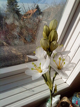 liliom