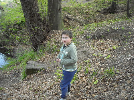 Picture 2011 in parc 340