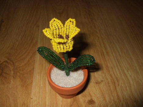 Sárga tulipán