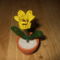 Sárga tulipán
