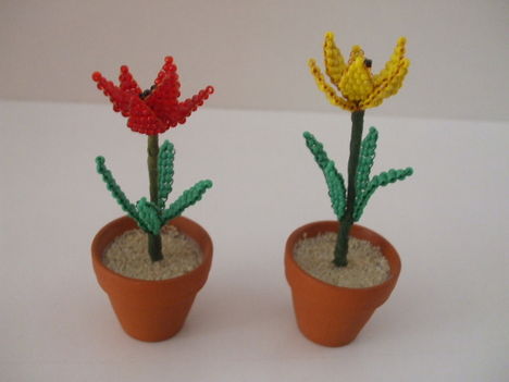 Tulipánok