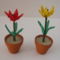 Tulipánok