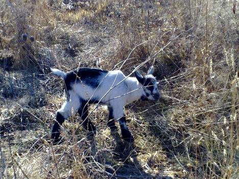 201202261047