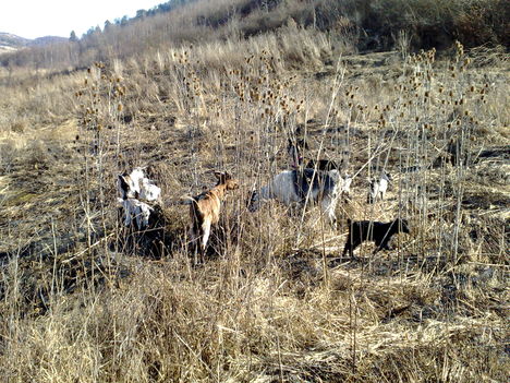 201202261053