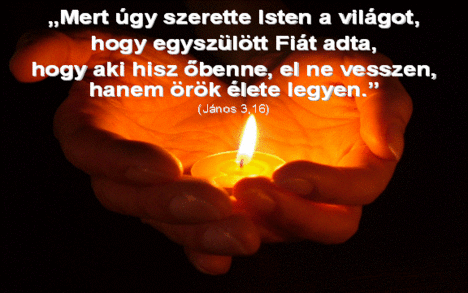 clip_image002