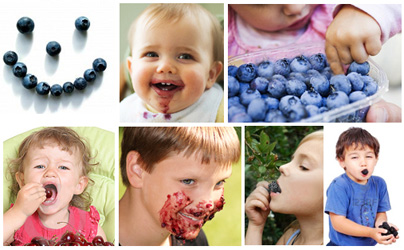 Gyermekeinknek még fontosabb, hogy naponta ehessenek bio-termesztésű, vegyes gyümölcsöt!
