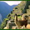 Machu Picchu - 001v