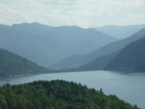 P1030803