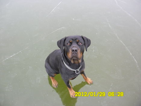 SAM_0522