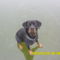 SAM_0522