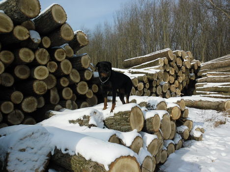 SAM_0560