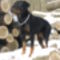 SAM_0561
