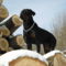 SAM_0564