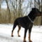 SAM_0571