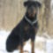 SAM_0592
