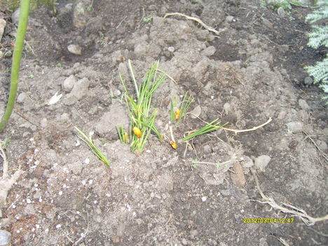 Tavasz március 2012 5