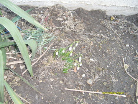 Tavasz március 2012 6