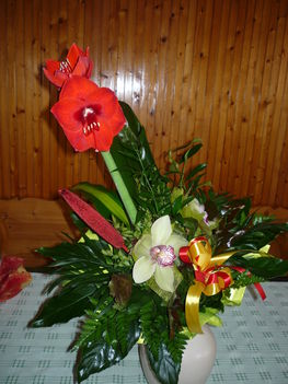 P1080516