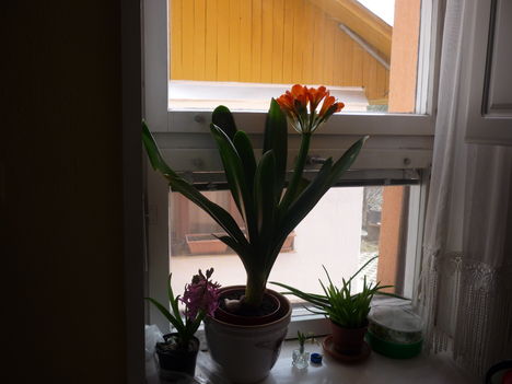 P1080518