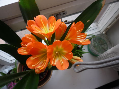 P1080523