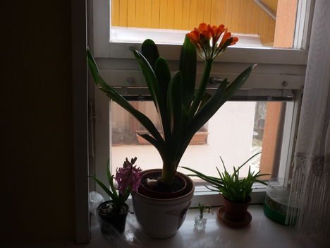 P1080524