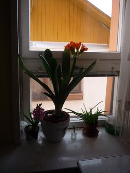P1080525
