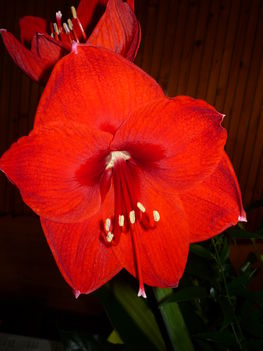 P1080528