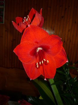 P1080529
