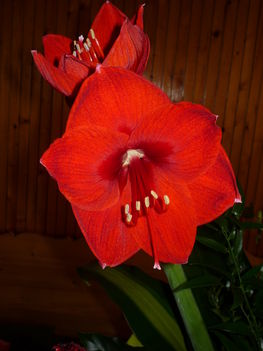 P1080530