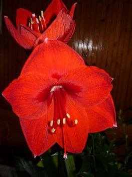 P1080533
