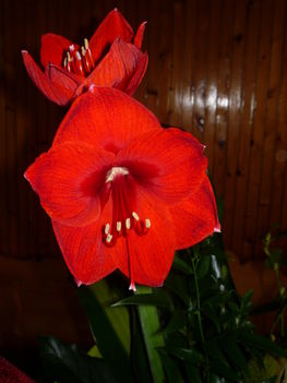 P1080534