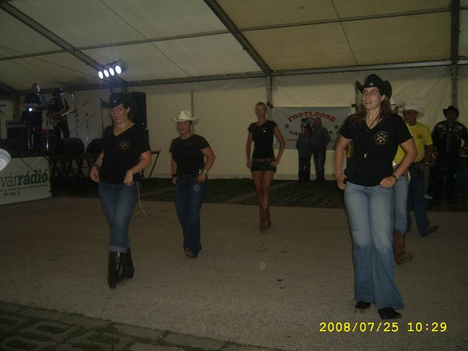Gárdony 2008