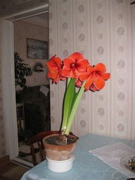 IMG_0120