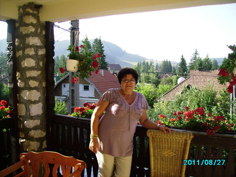 IMGP0348