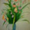 SAM_0470