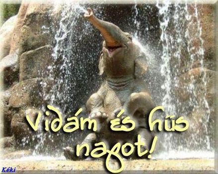 www.tvn