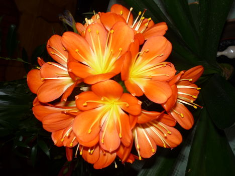 P1080544