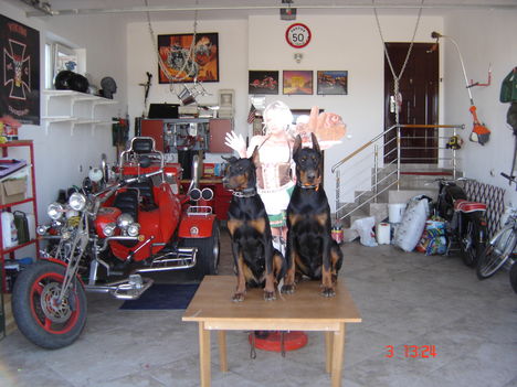 DSC07002