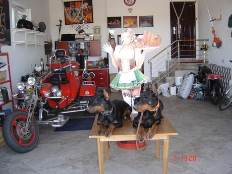 DSC07005