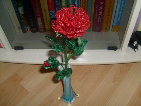 egyszál rózsa