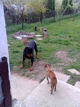 Kép0168