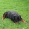 SAM_0335