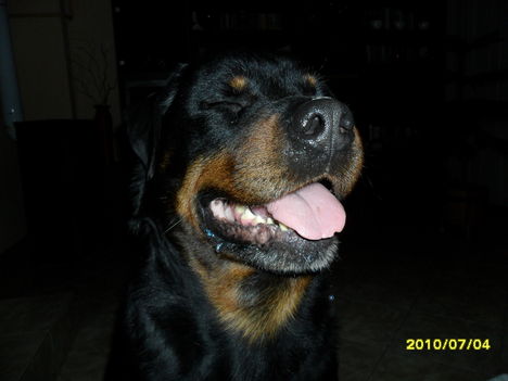 SAM_0496