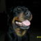 SAM_0496
