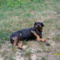 SAM_1713