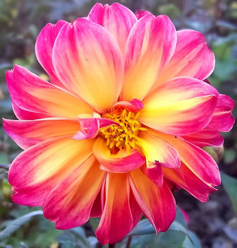 062