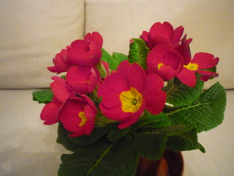 2012. MÁRCIUS :-)) 1