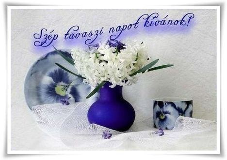 5bb3hi6ewtbt