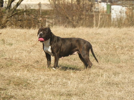 Kép 005