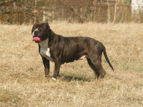 Kép 014